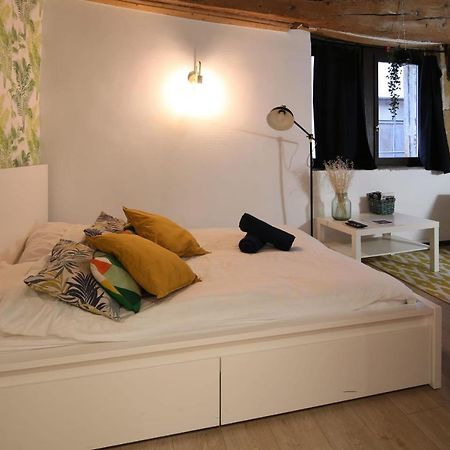 Charming Studio Centre Ville De リヨン エクステリア 写真