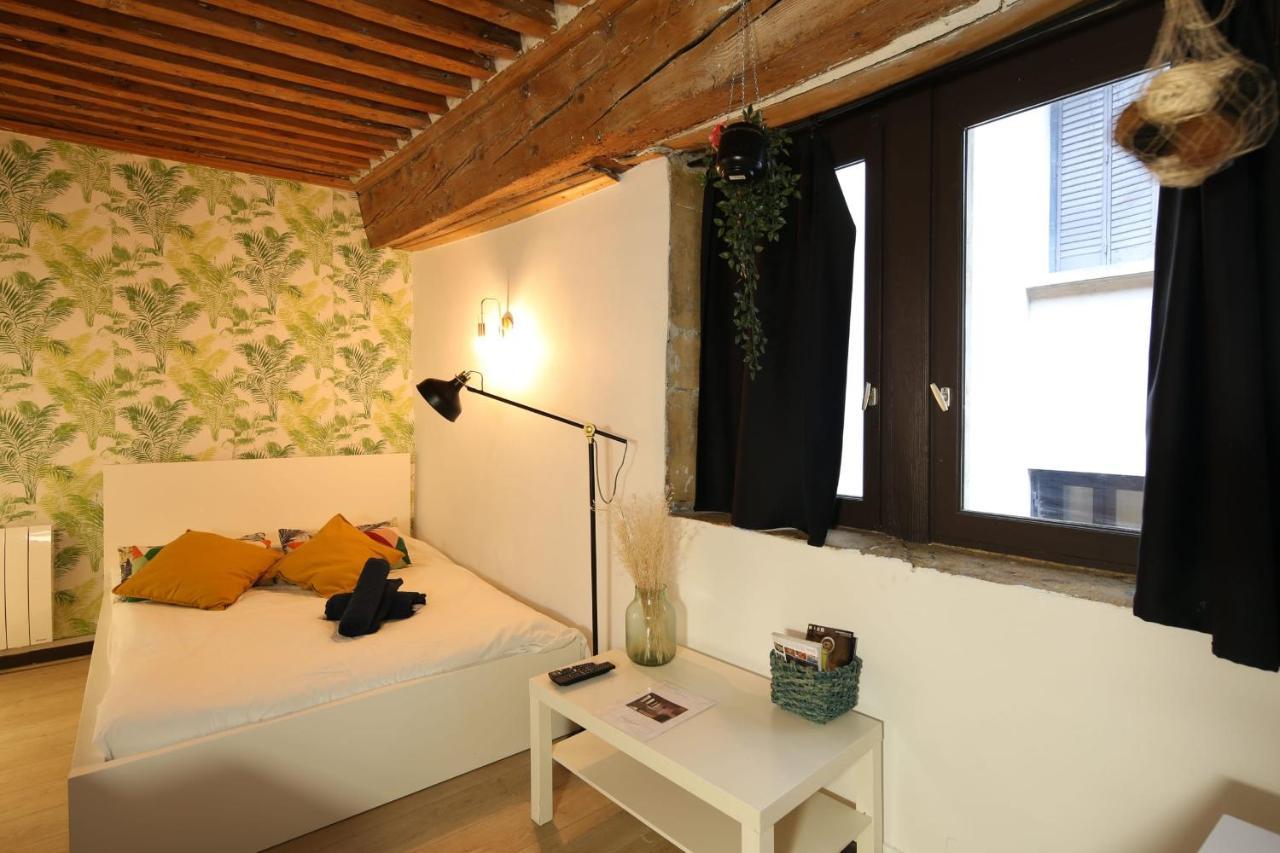 Charming Studio Centre Ville De リヨン エクステリア 写真